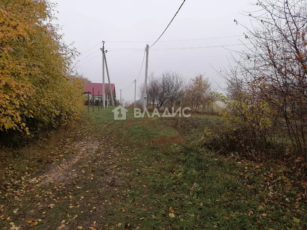 Суздальский район, село Новоалександрово, земля на продажу - Фото 1