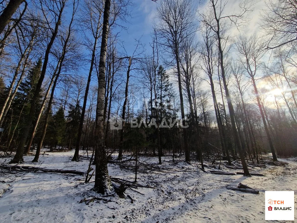 Продажа участка, Левково, Дмитровский район - Фото 4