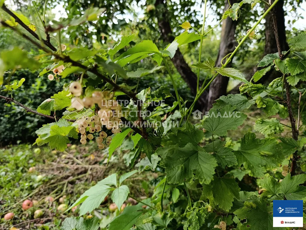 Продажа дома, Старожилово, Старожиловский район, ул. Почтовая - Фото 11