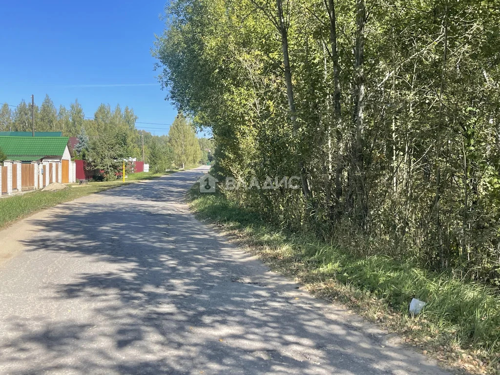 Собинский муниципальный округ, деревня Рыжково, Центральная улица,  ... - Фото 10