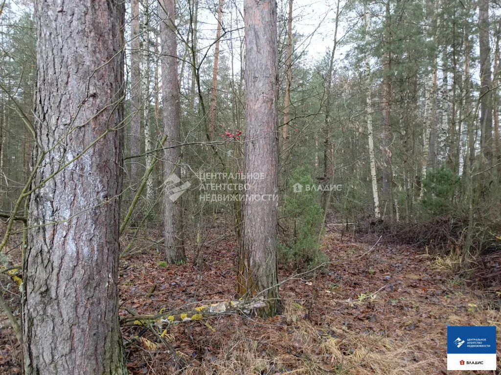 Продажа участка, Алеканово, Рязанский район - Фото 2