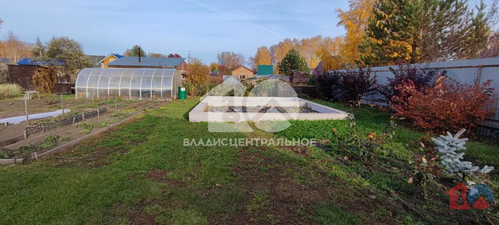 Новосибирский район, садовое товарищество Шафран,  земля на продажу - Фото 8