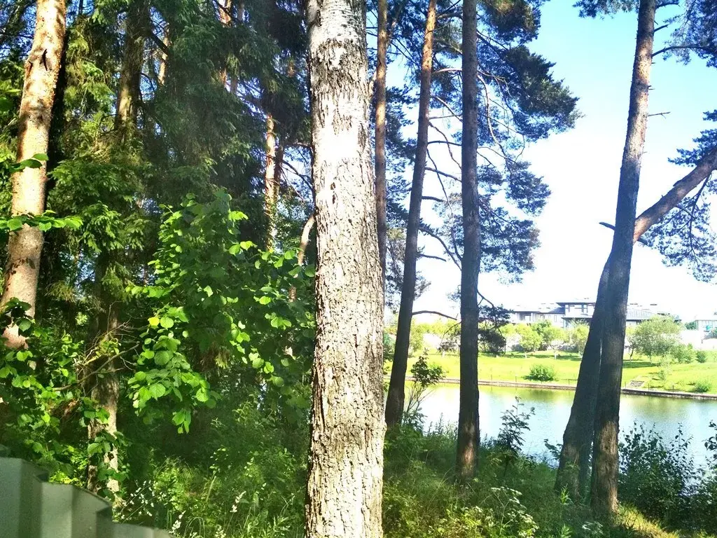Лесной участок у воды в поселке на Новорижском ш. 10 км от МКАД - Фото 4