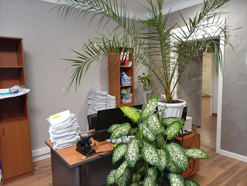 Офис 218 кв.м. - Фото 15