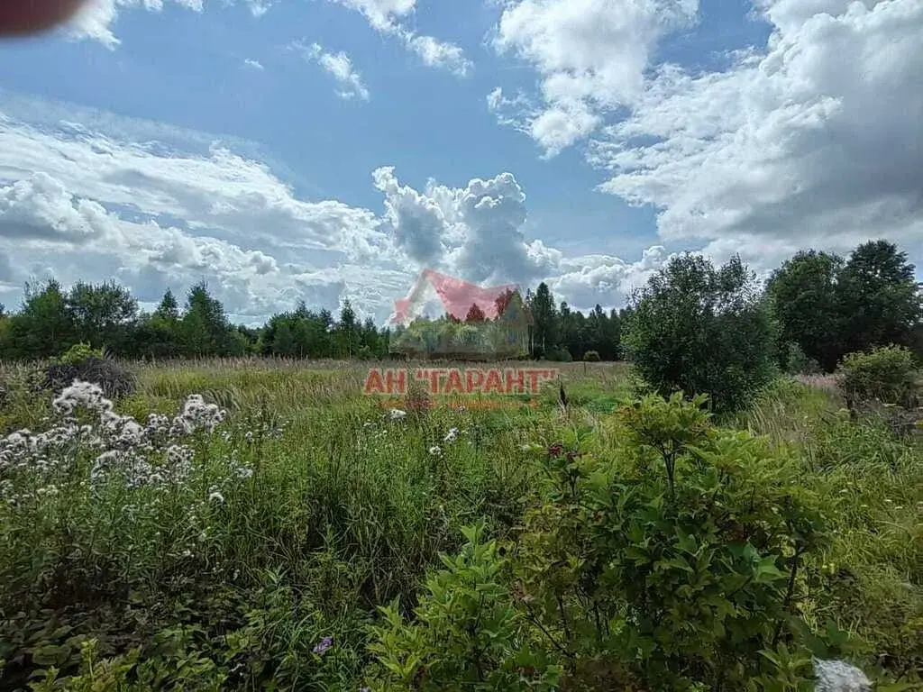 Дом в д.Буньково Александровский р-н Владимирская обл. - Фото 37