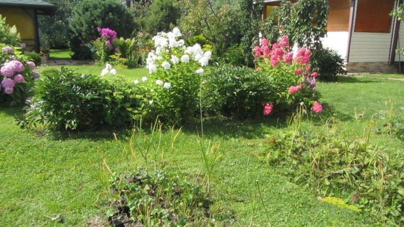 Красивая Дача: 40 впечатляющих фото дома и сада