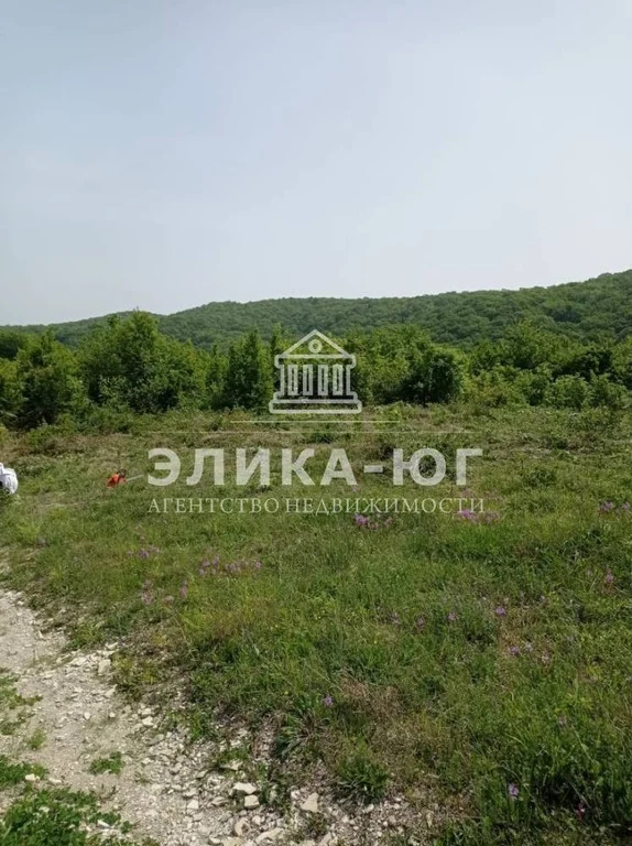 Продажа участка, Пляхо, Туапсинский район, мкр. Молодежный - Фото 7