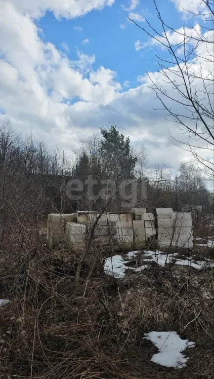 Продажа участка, Малые Вяземы, Одинцовский район - Фото 4