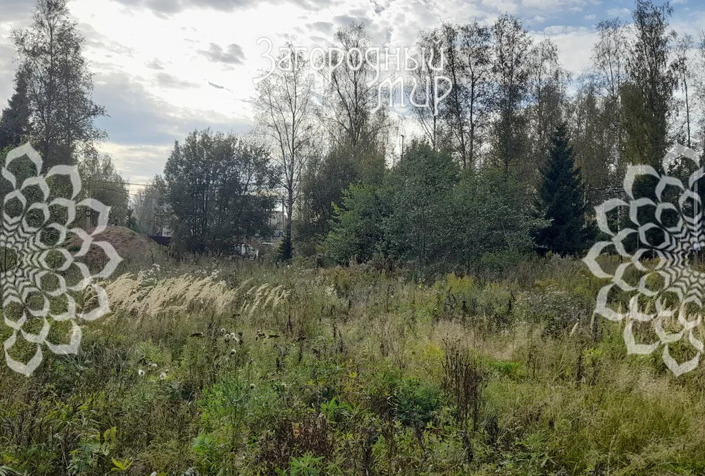 Продам участок, Ярославское шоссе, 38 км от МКАД - Фото 3