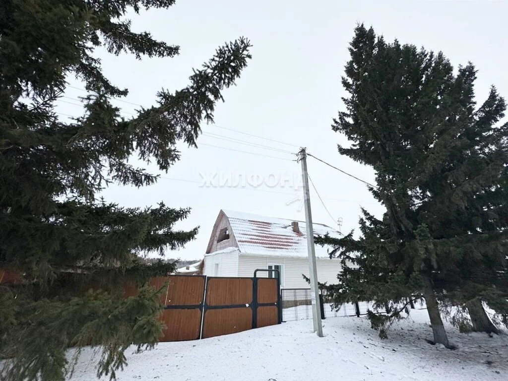 Продажа дома, Боровое, Новосибирский район, ул. Ленина - Фото 0