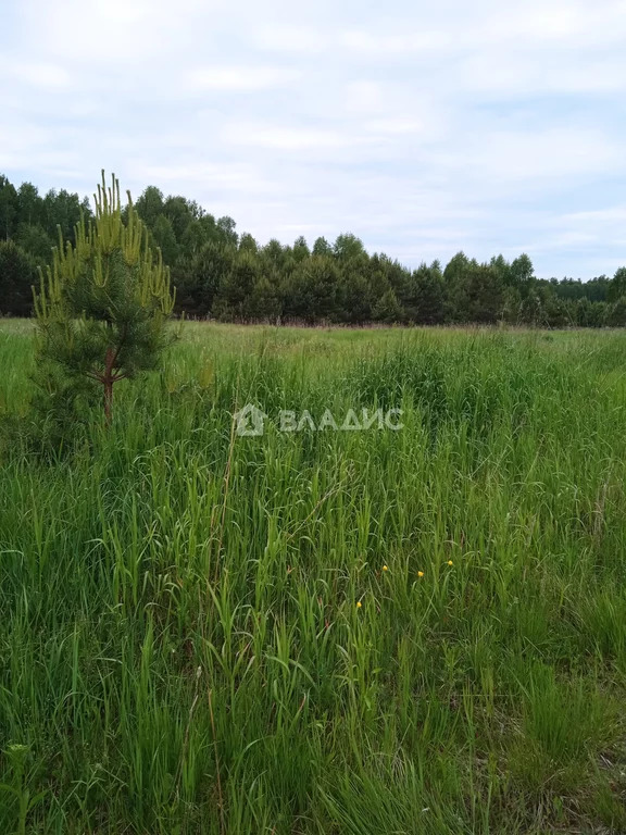 Судогодский район, дачный посёлок Медовая поляна,  земля на продажу - Фото 2
