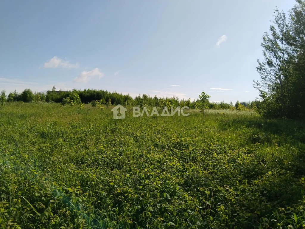 Судогодский район, деревня Овсянниково,  земля на продажу - Фото 4