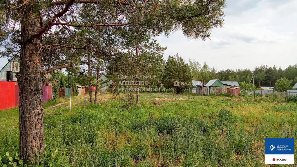 Продажа участка, Рязанский район, садоводческое товарищество Мещера - Фото 3