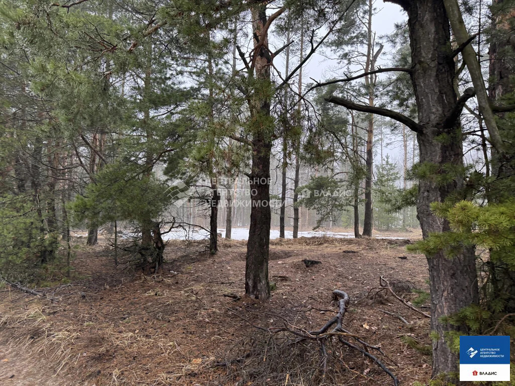 Продажа участка, Рязанский район, садоводческое товарищество ... - Фото 8