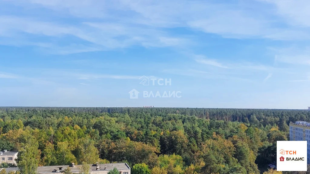 Продажа квартиры, Балашиха, Балашиха г. о., ул. Кудаковского - Фото 15