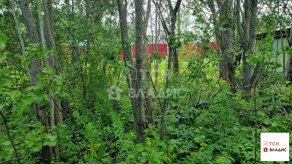Продажа участка, Лесные Поляны, Пушкинский район - Фото 7