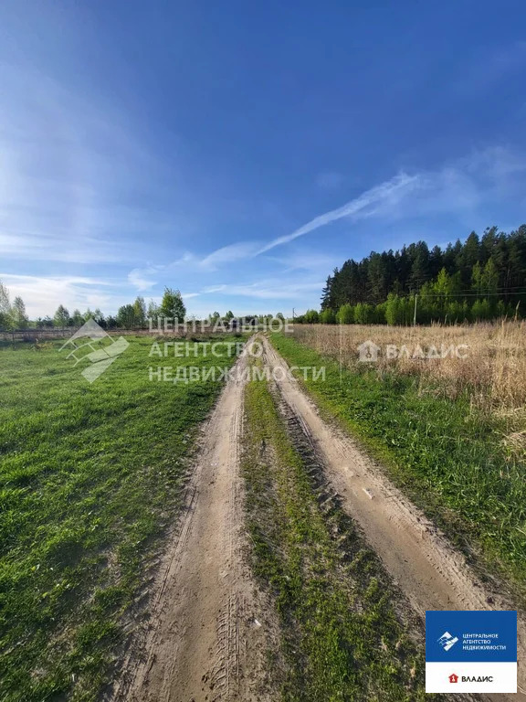 Продажа участка, Дегтяное, Спасский район, ул. Центральная - Фото 3