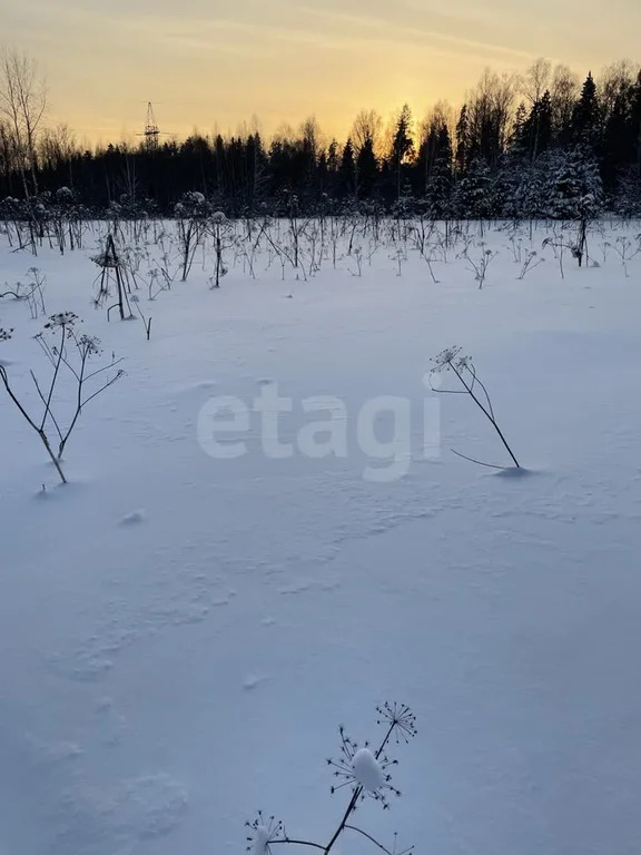 Продажа участка, Холмы, Истринский район - Фото 1