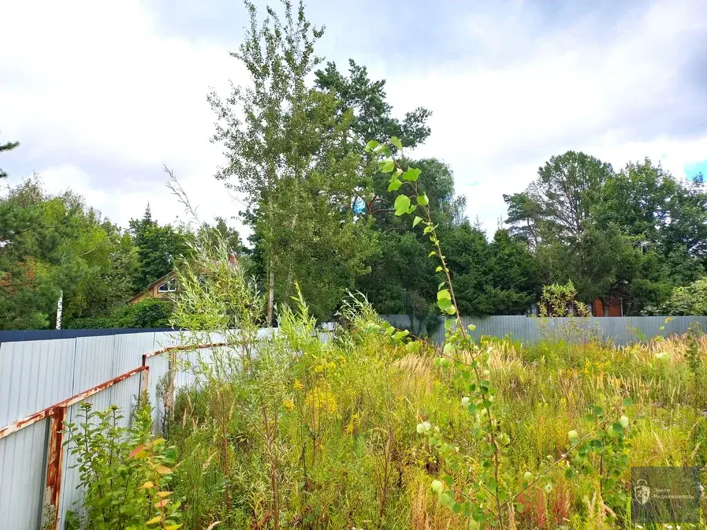 11 соток в Одинцовском районе 20 км от МКAД д. Ликино - Фото 8