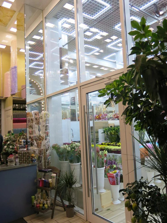Продается ПСН 225 м2 - Фото 5