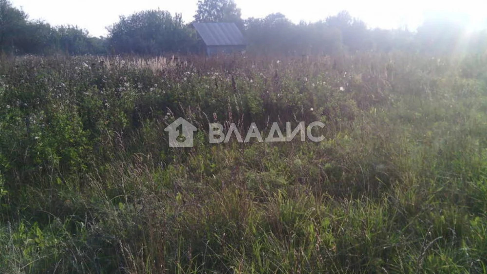 Купить Дом Новоалександрово Суздальского Района