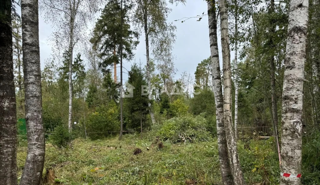 городской округ Солнечногорск, село Алабушево, микрорайон Дедёшино, ... - Фото 1