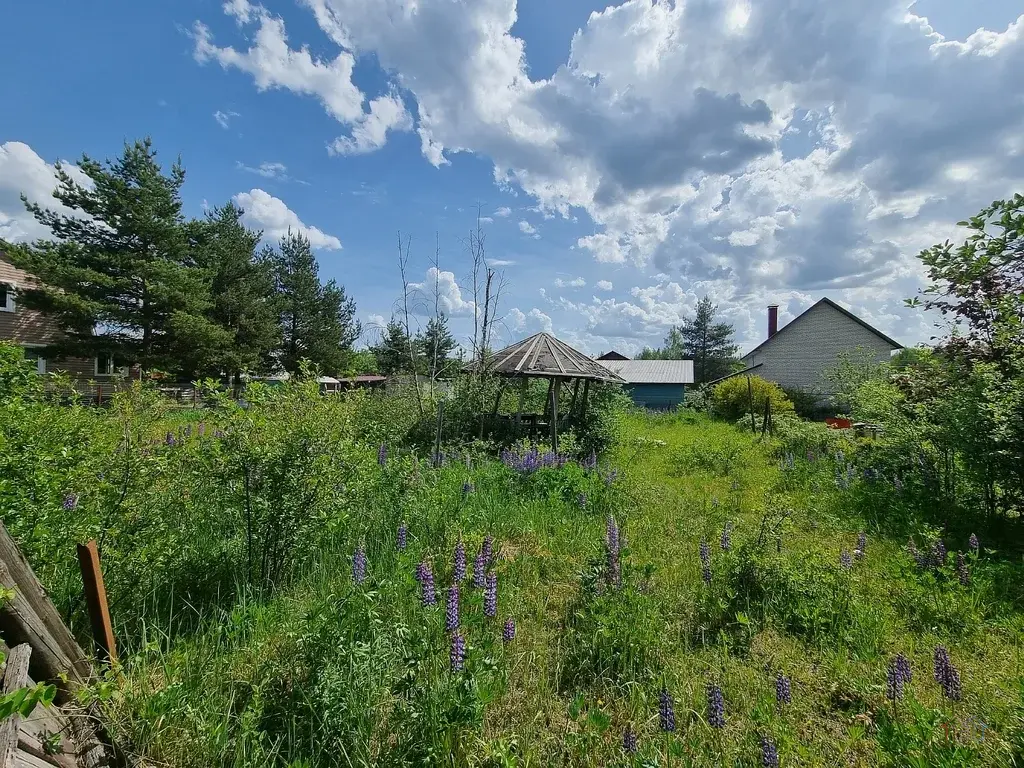 Участок 6 сот. (СНТ, ДНП) - Фото 3