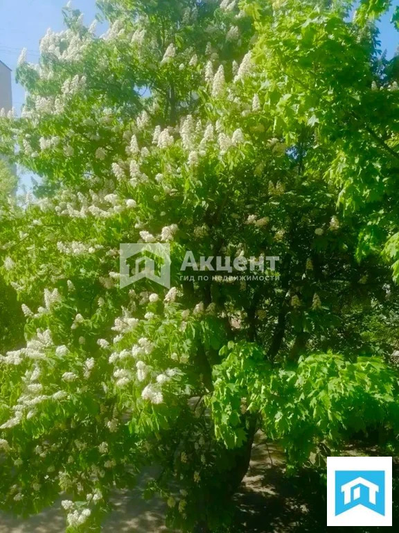Продажа квартиры, Иваново, ул. Танкиста Белороссова - Фото 3