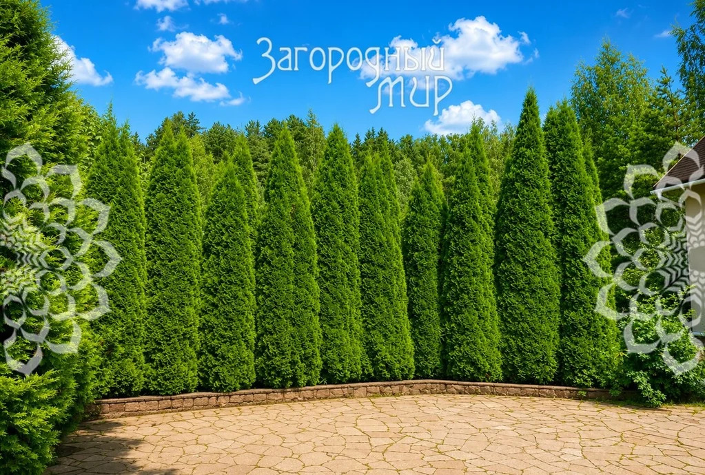Продам дом, Ленинградское шоссе, 30 км от МКАД - Фото 10