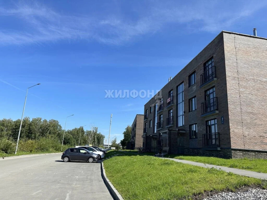 Продажа квартиры, Ложок, Новосибирский район, Тесла - Фото 13