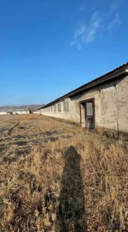 Продажа производственного помещения, Николаевка, Партизанский район, ... - Фото 4