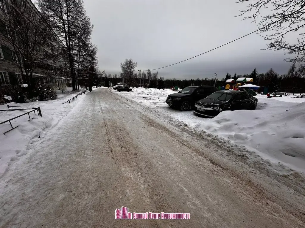 1к. квартира с. Семёновское д.18 (Дмитровский район) - Фото 1