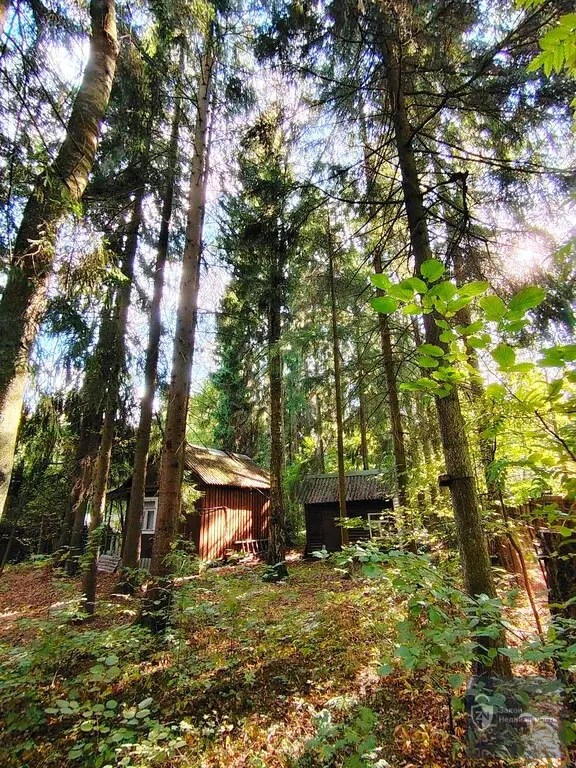 Обжитой стародачный поселок  Фрунзевец. 30 км от МКАД по Киевскому ш. - Фото 5