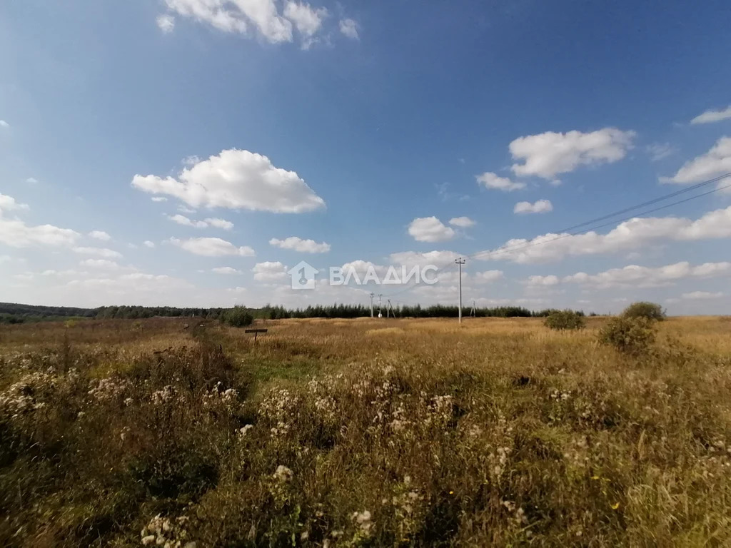 городской округ Владимир, село Мосино, Ленинский район,  земля на ... - Фото 3