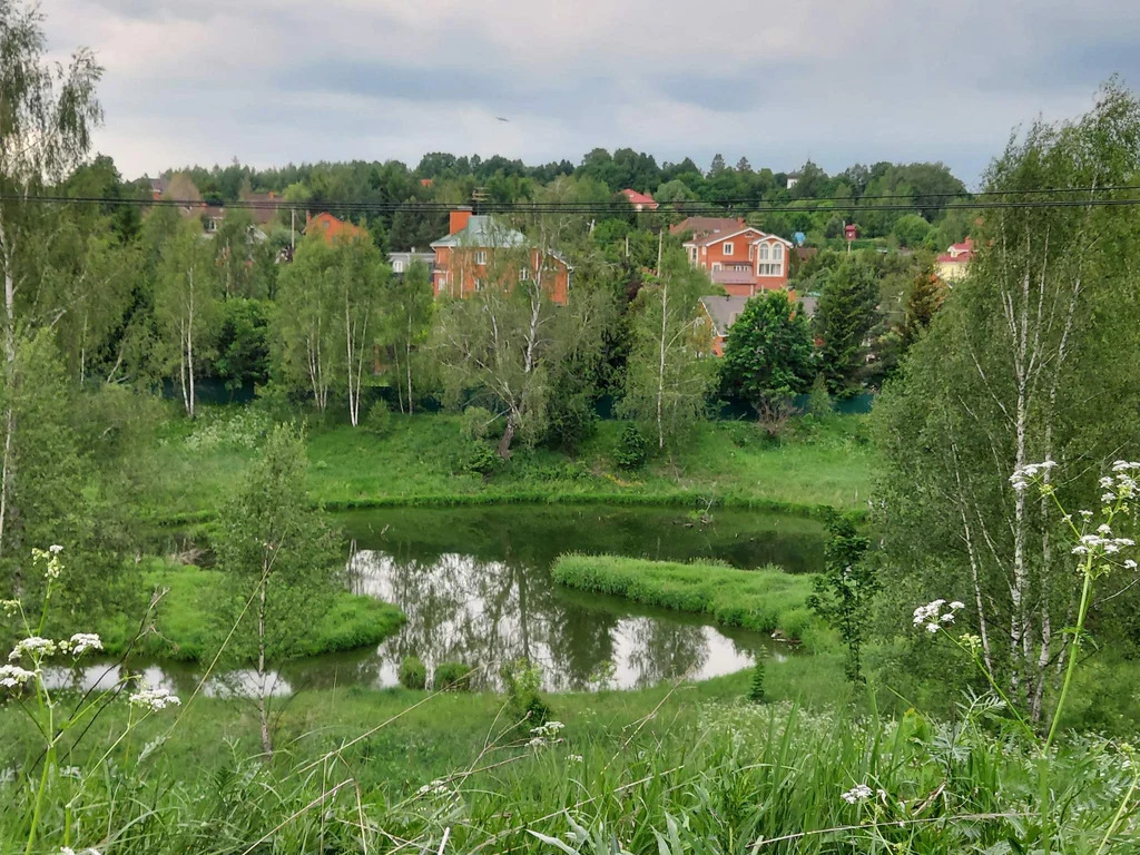 Продается земельный участок 17 сот. в деревне Прохорово. - Фото 0