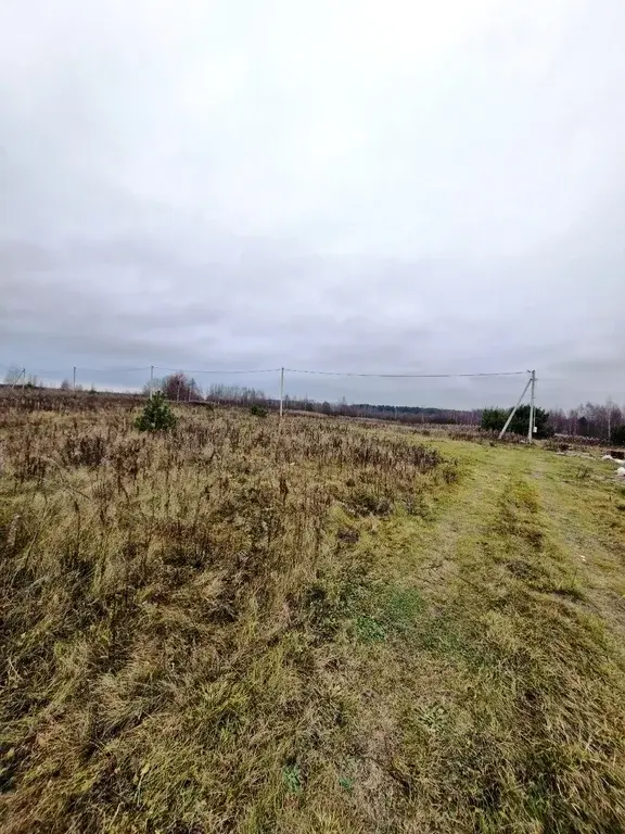 Участок в селе Саввино - Фото 7