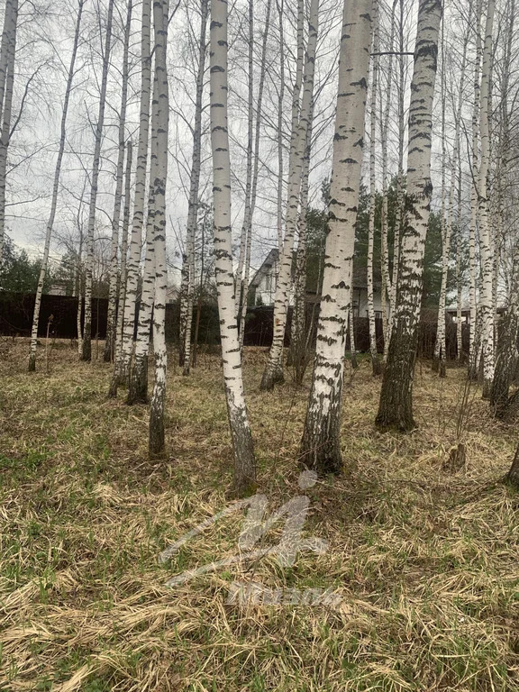Продажа участка, Новая, Солнечногорский район - Фото 7