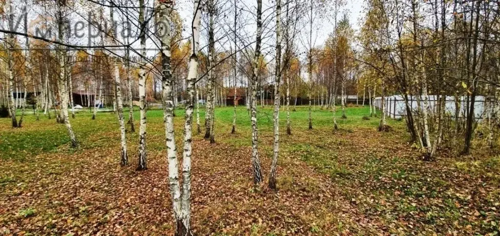 Продаётся отличный участок в окружении лесного массива в Калужской обл - Фото 0