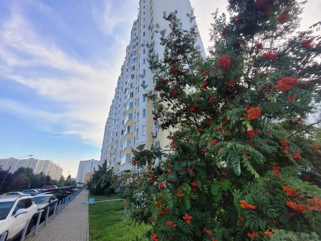 1-к.Мытищи, ул.Борисовка, д.8А - Фото 36