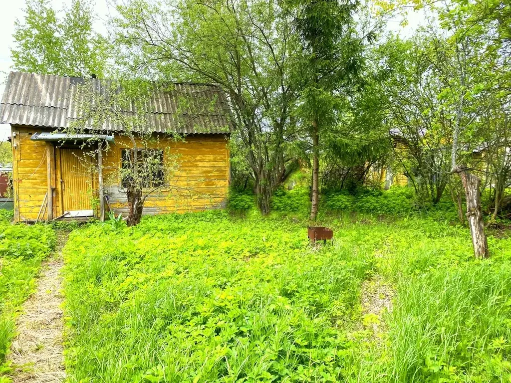 Дача в СНТ Луч - Фото 10