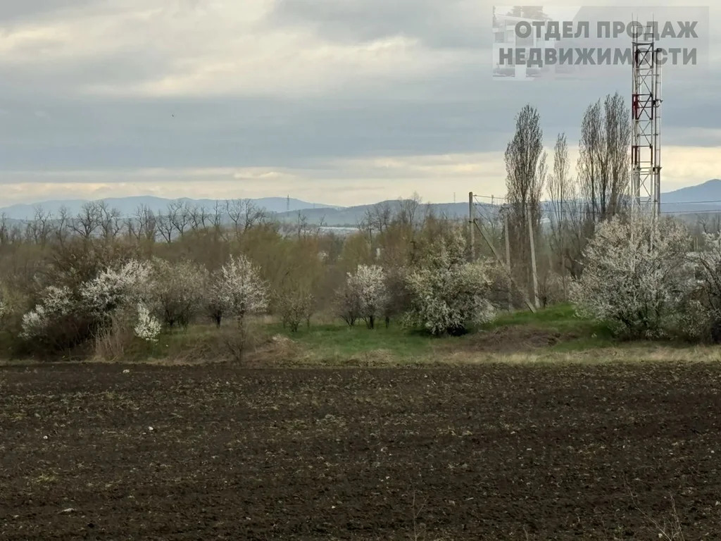 Участки - Фото 5