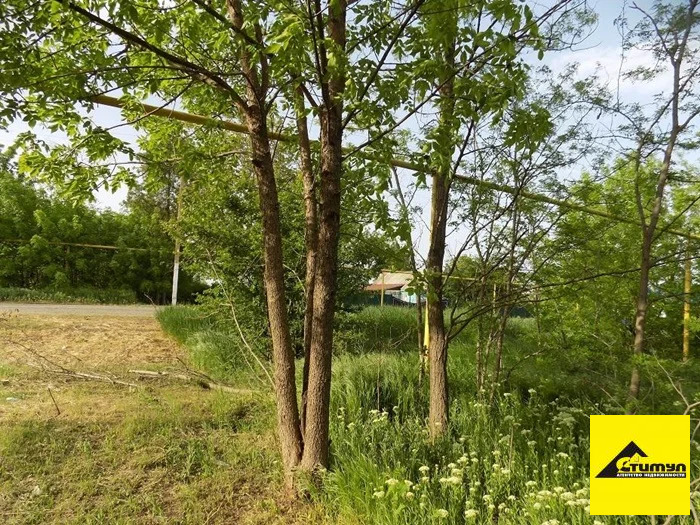 Продажа участка, Симоновка, Ейский район, ул. Мира - Фото 2