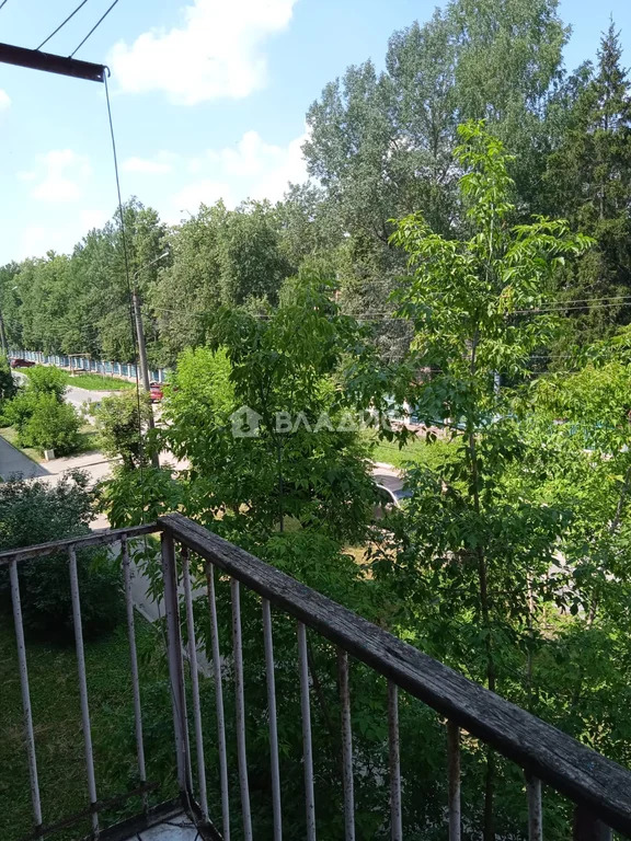 Петушинский район, Покров, улица 3-го Интернационала, д.53, ... - Фото 36