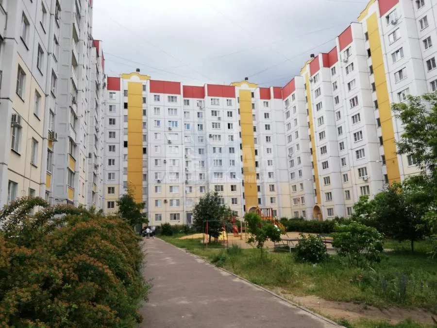 Пр т патриотов. Проспект патриотов 50 б. Проспект патриотов 50 Воронеж. Проспект патриотов Воронеж. Воронеж пр патриотов 50б.