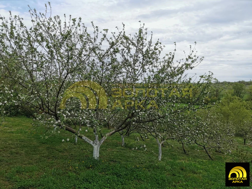 Продажа дома, Молдаванское, Крымский район, ул. Почтовая - Фото 31