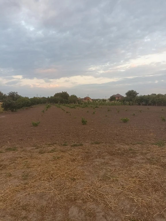 Продажа участка, Оазис, Северский район, переулок Карасунский - Фото 4