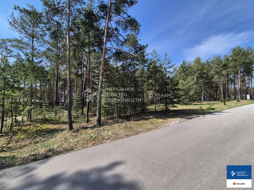 Продажа участка, Рязанский район - Фото 3