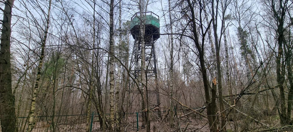 База отдыха "Лесные дали" - Фото 10