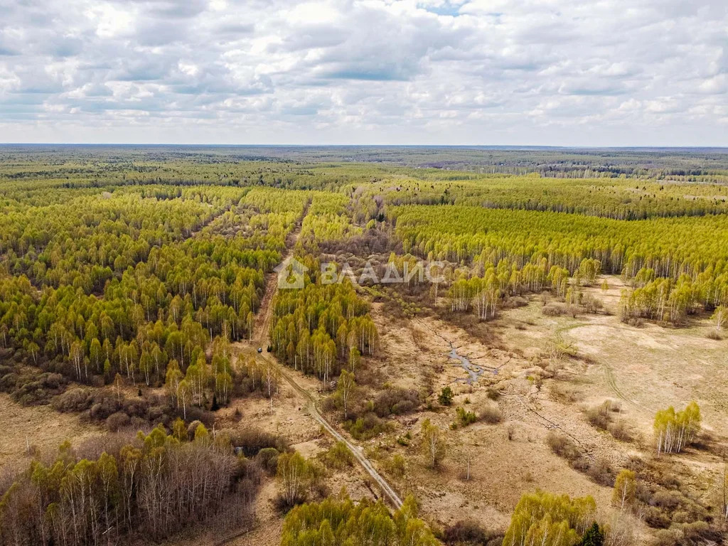 Судогодский район, деревня Кощеево, земля на продажу - Фото 6