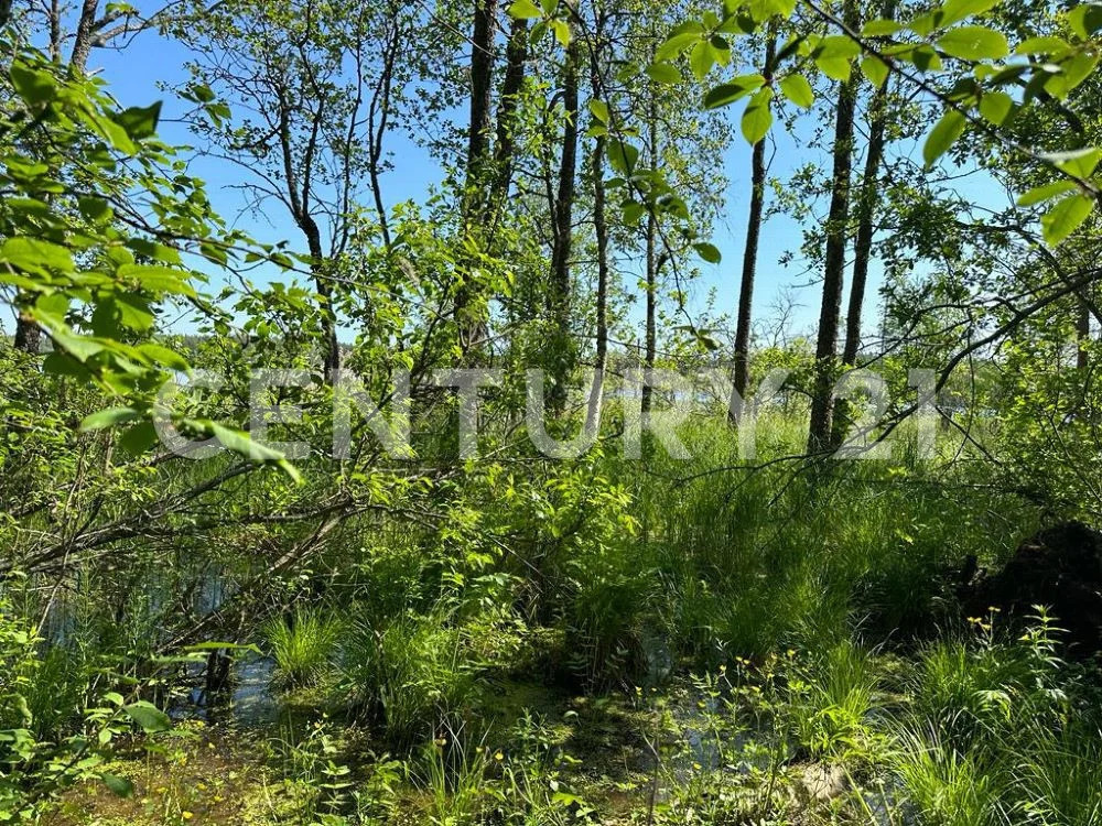 Продажа земельного участка, Приозерский район, Массив Мельниково тер. - Фото 18